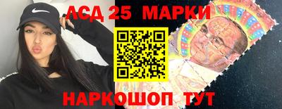 крисы Абакан