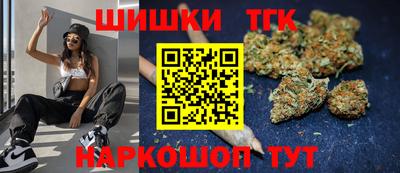 крисы Абакан