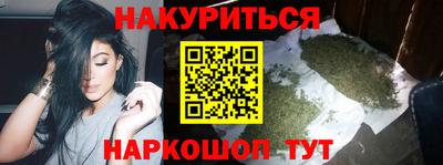 крисы Абакан
