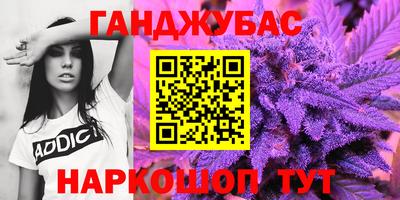 крисы Абакан