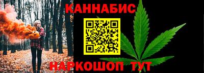 крисы Абакан